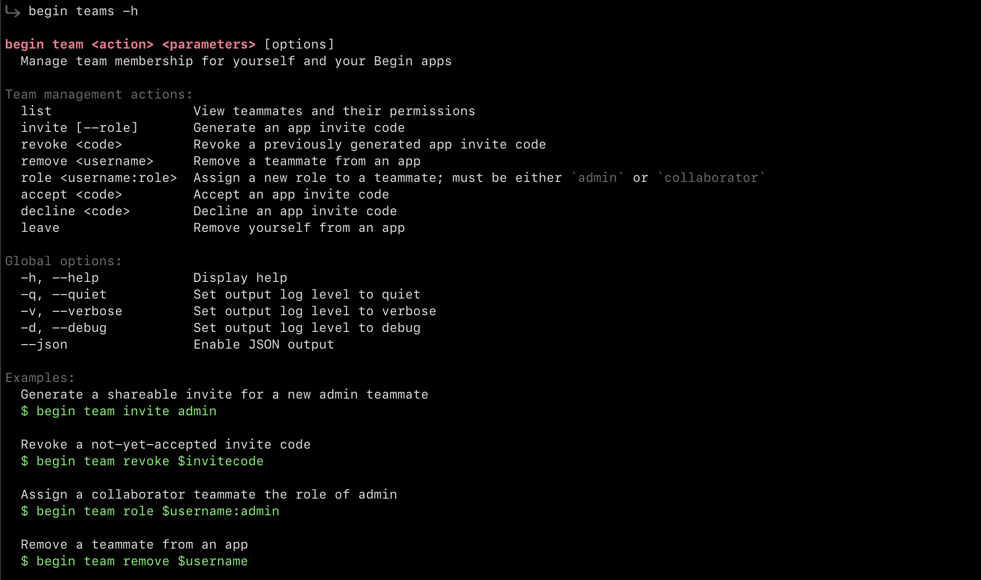 Terminal screenshot of the `begin team` command output