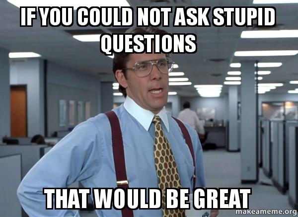 if you could not as stupid questions